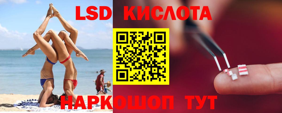 Cocaine Зеленогорск
