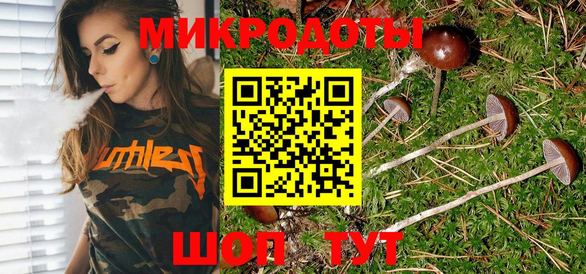 Галлюциногенные грибы Magic Shrooms  Галлюциногенные грибы мицелий  Вход с VPN  даркнет сайт  Зеленогорск 