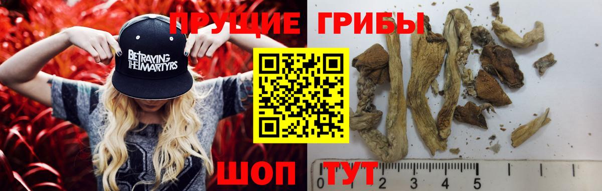 Псилоцибиновые грибы Magic Shrooms Зеленогорск